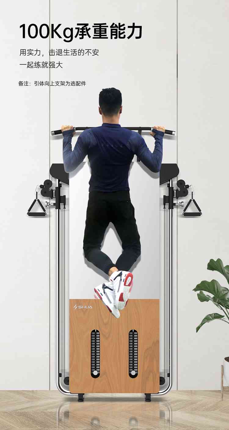SH-G699 壁挂式拉绳训练器-广西YABO.COM体育健身器材有限公司 SH-G699 壁挂式拉绳训练器-广西YABO.COM体育健身器材有限公司
